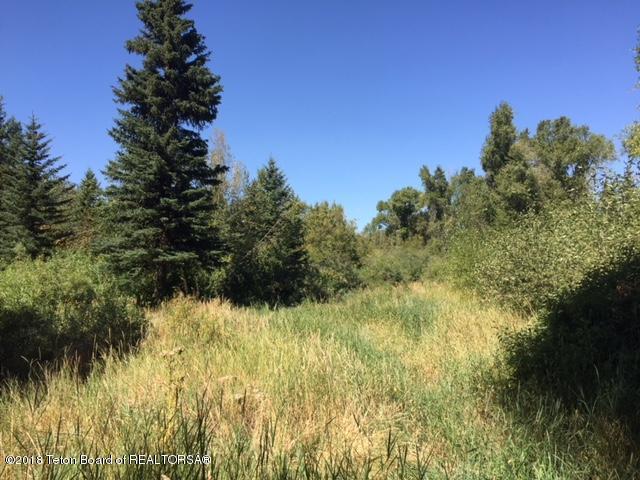Cottonwood Creek Lane - Photo 1
