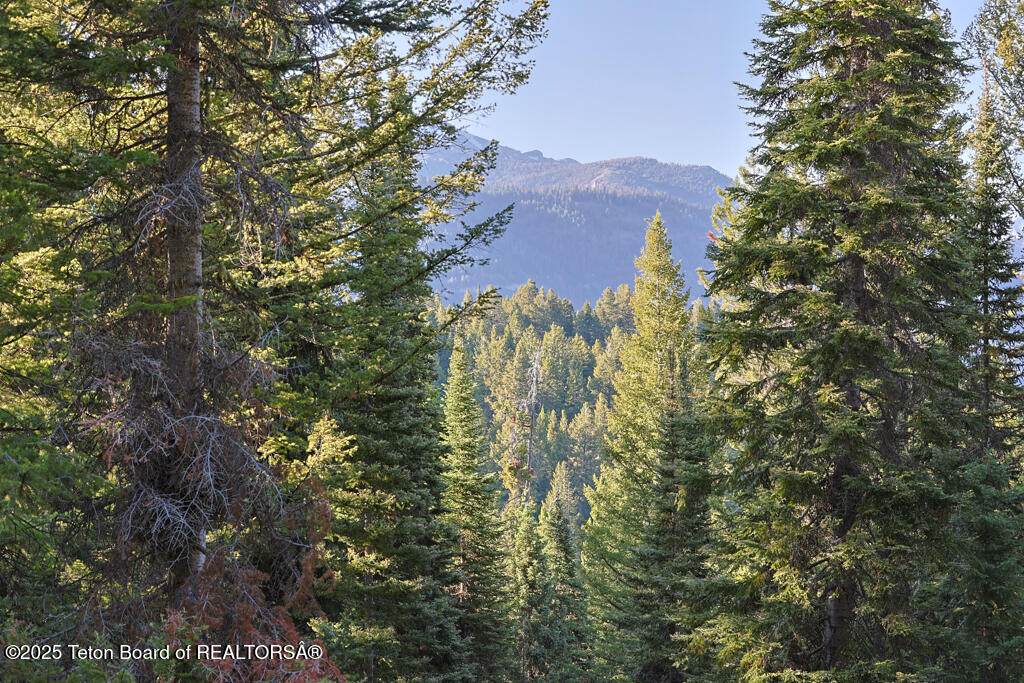 https://bt-photos.global.ssl.fastly.net/teton/orig_boomver_2_24-1607-2.jpg