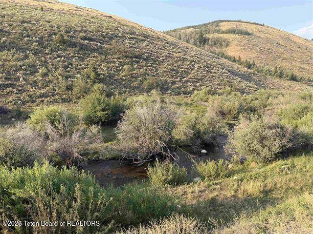 LOT 3 Bloomington Canyon Road - Photo 1