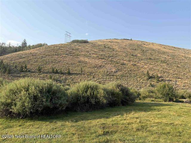 LOT 5 Bloomington Canyon Road - Photo 1