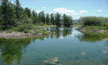 Lot 13 Fox Springs - Photo 1