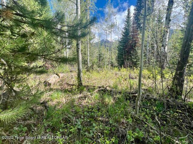 LOT 10 Aspen Ridge Trail - Photo 1