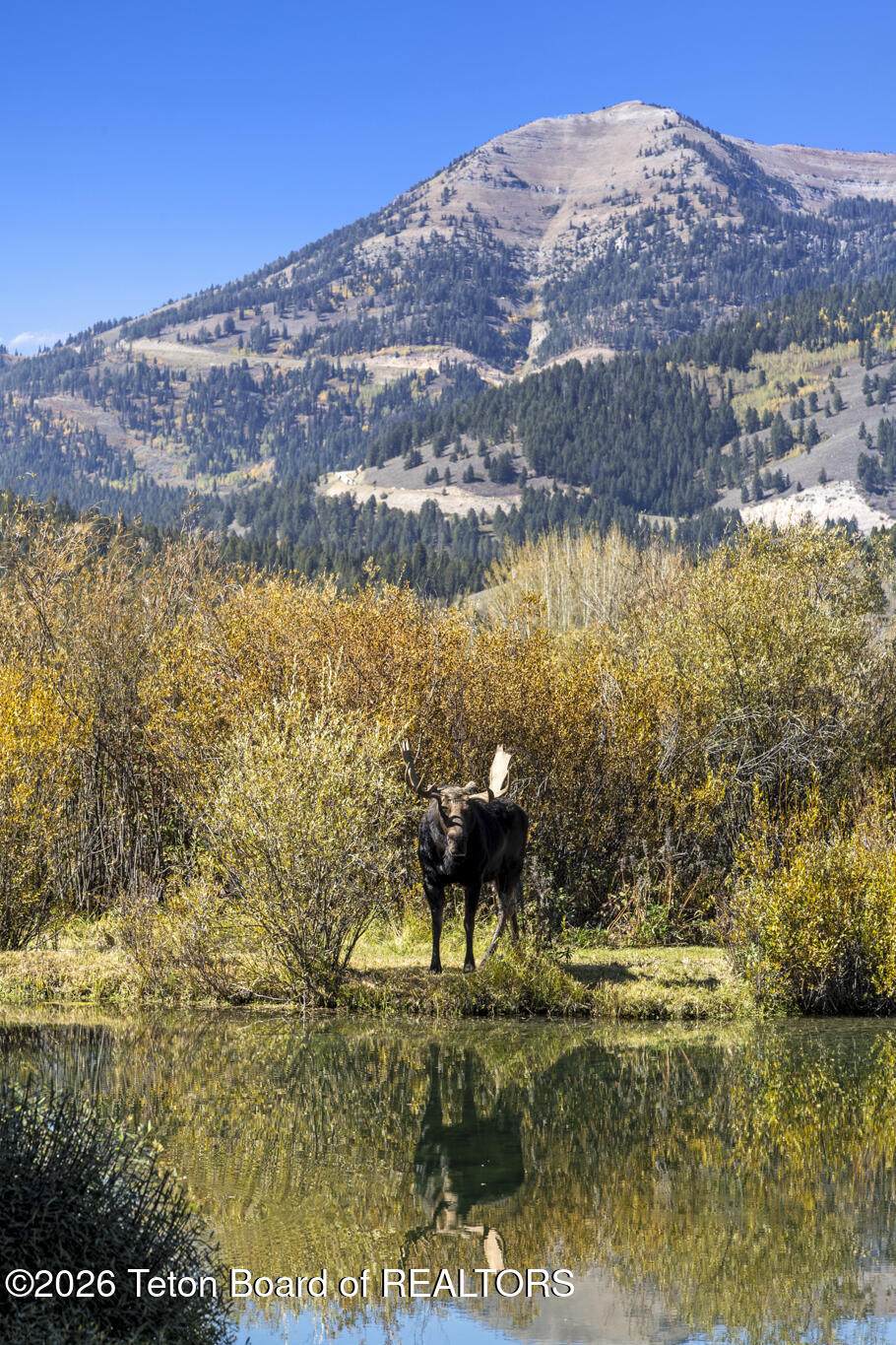 https://bt-photos.global.ssl.fastly.net/teton/1280_boomver_3_26-2345-2.jpg