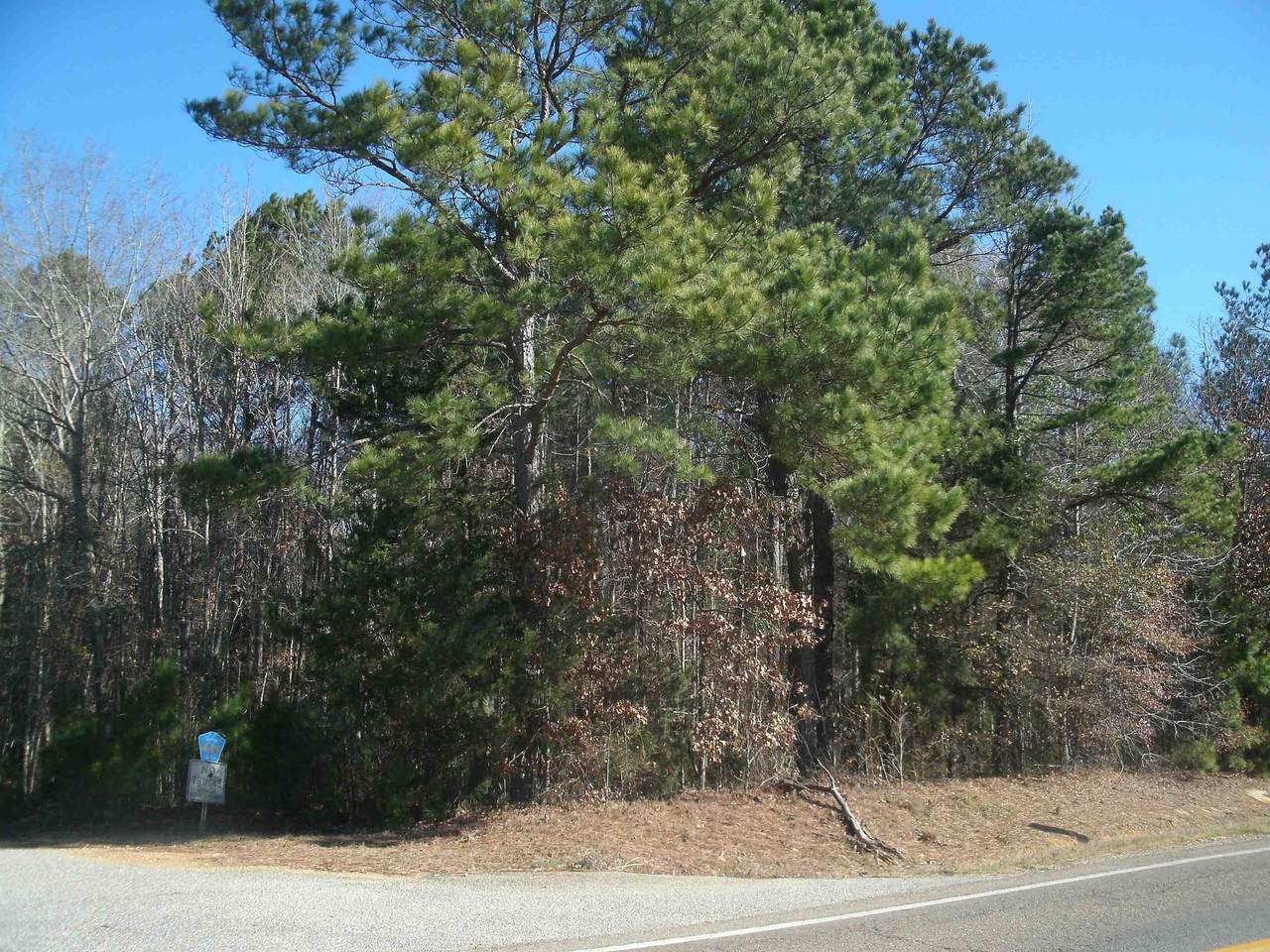 8.44 Acres St Hwy 196 - Photo 1