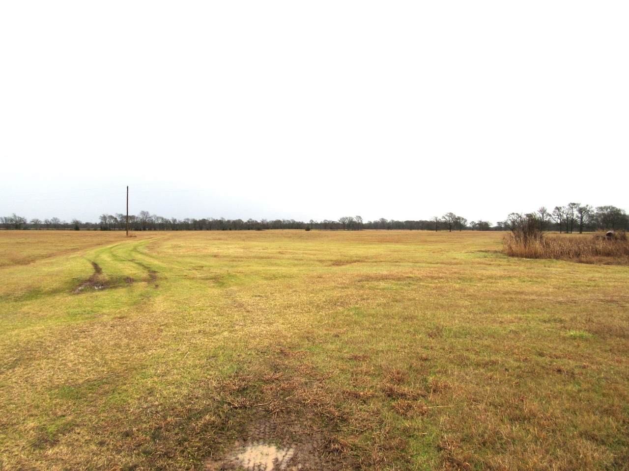 1314 Miller County 65 - Photo 1