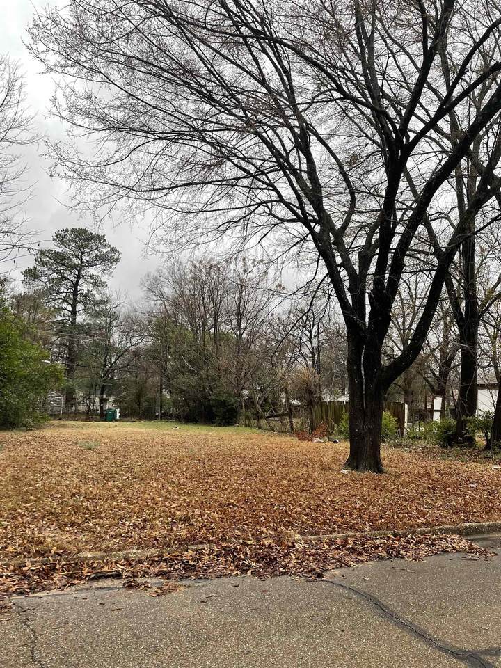 1915 Magnolia - Photo 1