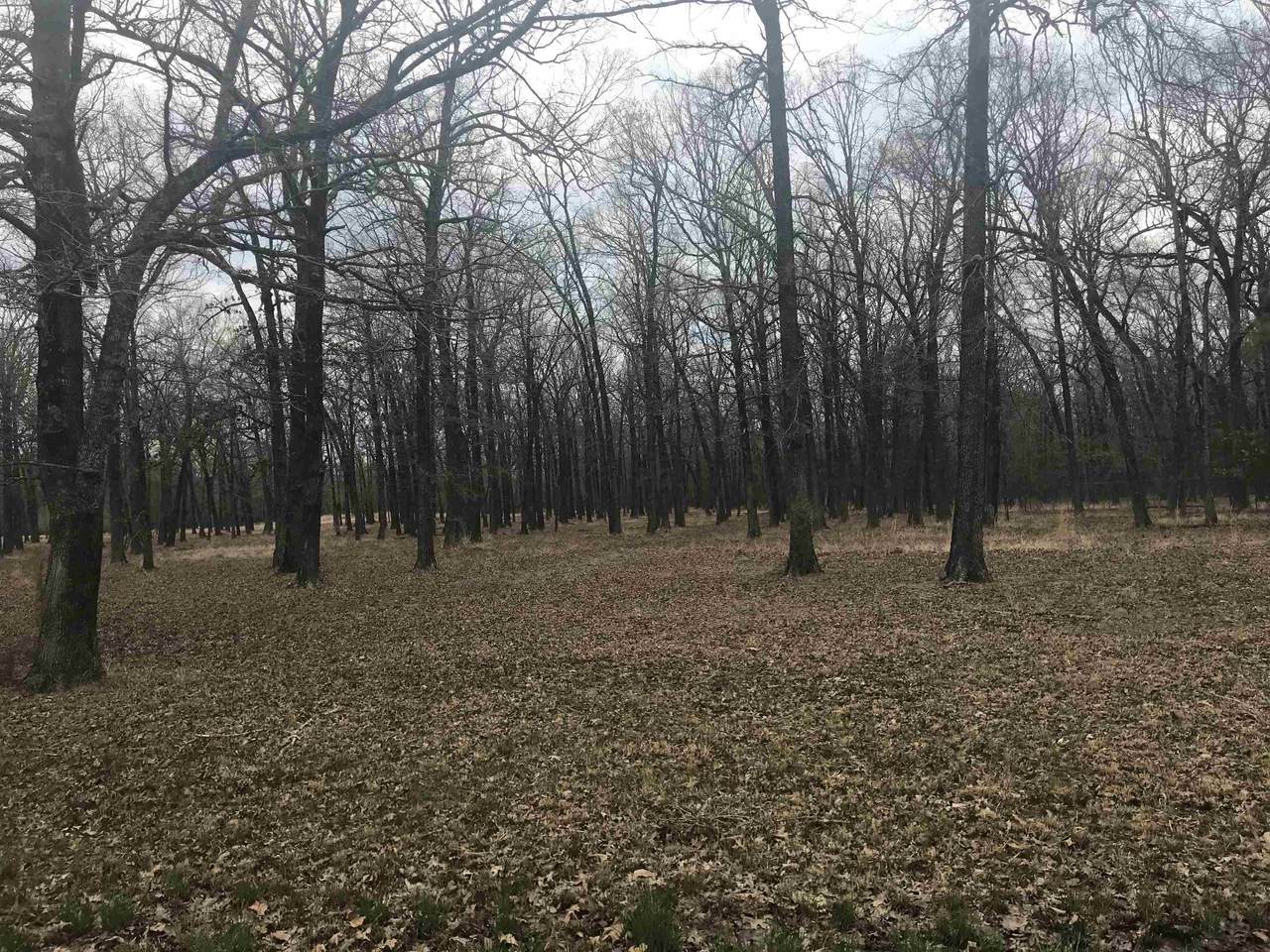 14 (Tract 2) Bent Tree Rd(Tract 2) - Photo 1