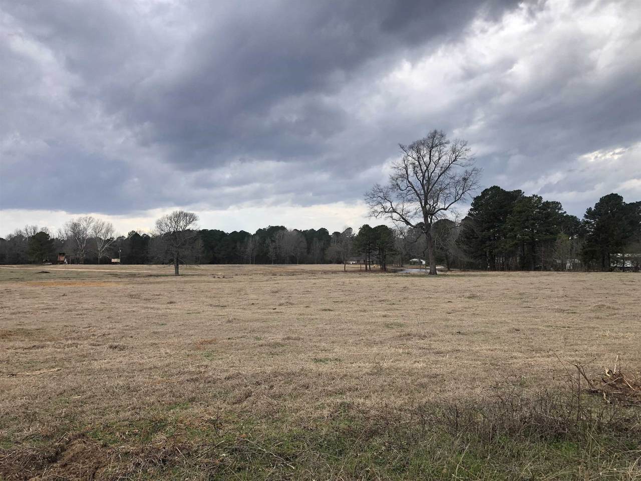3 ac ± TBD County Road 4119 - Photo 1