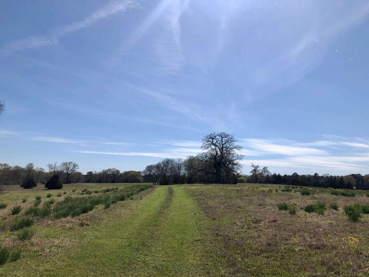 348 Acres Fm 2888 - Photo 1