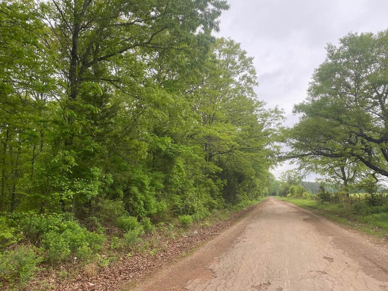 County Road 4239 - Photo 1