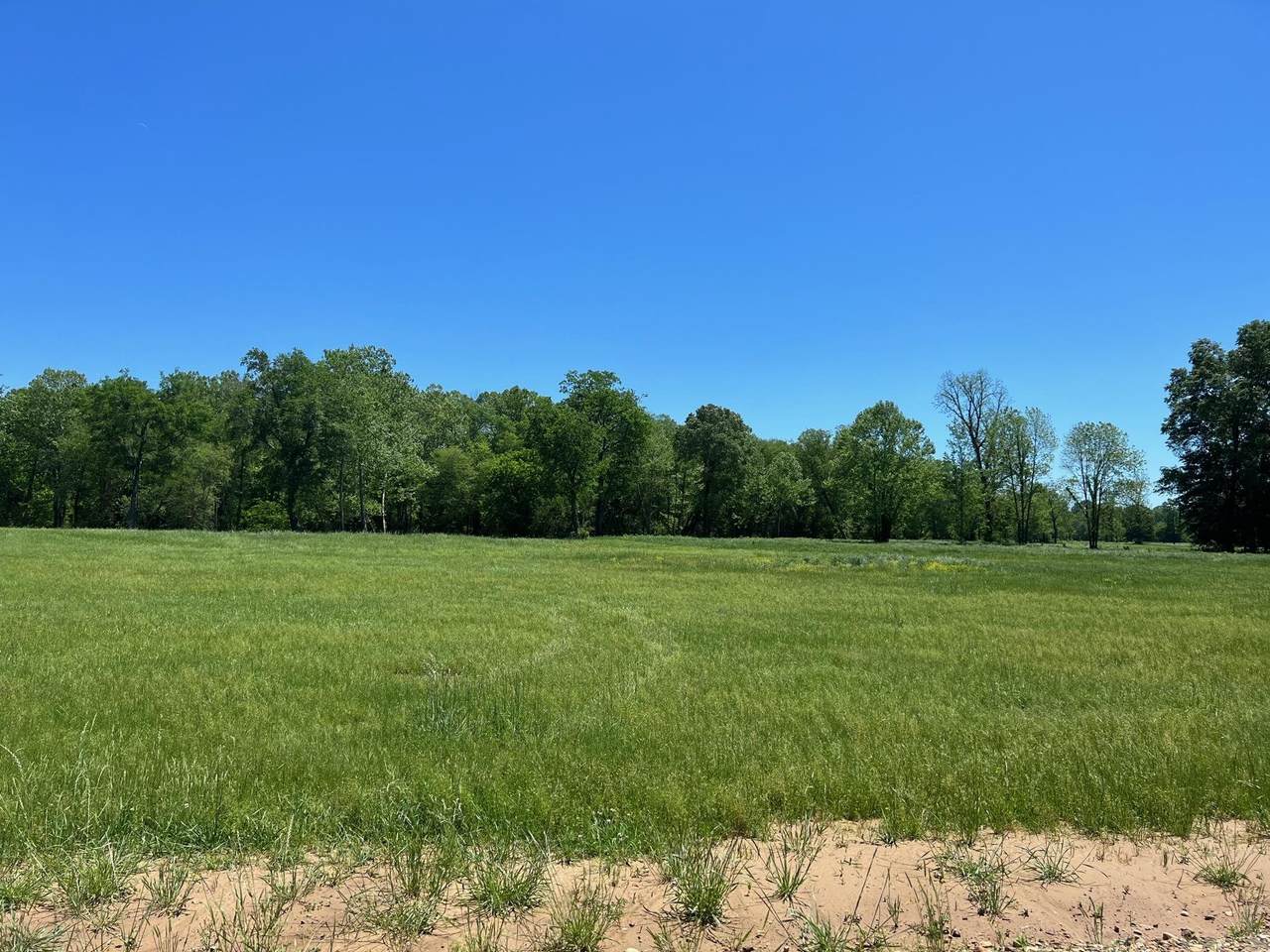 Lot 12 Brian Harris Dr - Photo 1