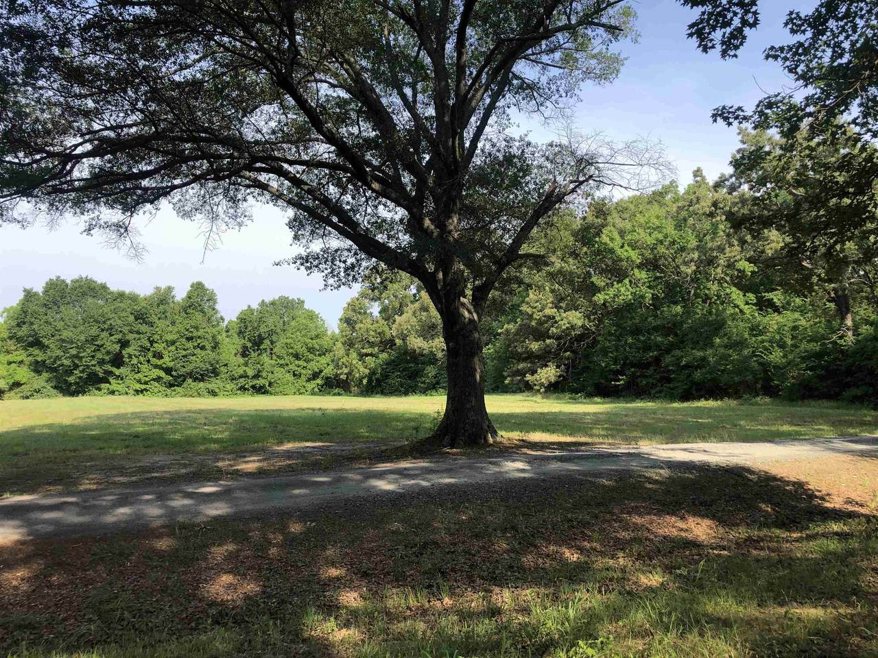 TBD Springhill Ln - Photo 1