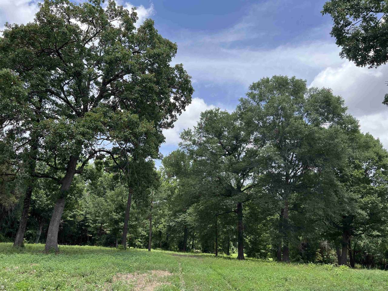3541 Hwy 271 S - Photo 1