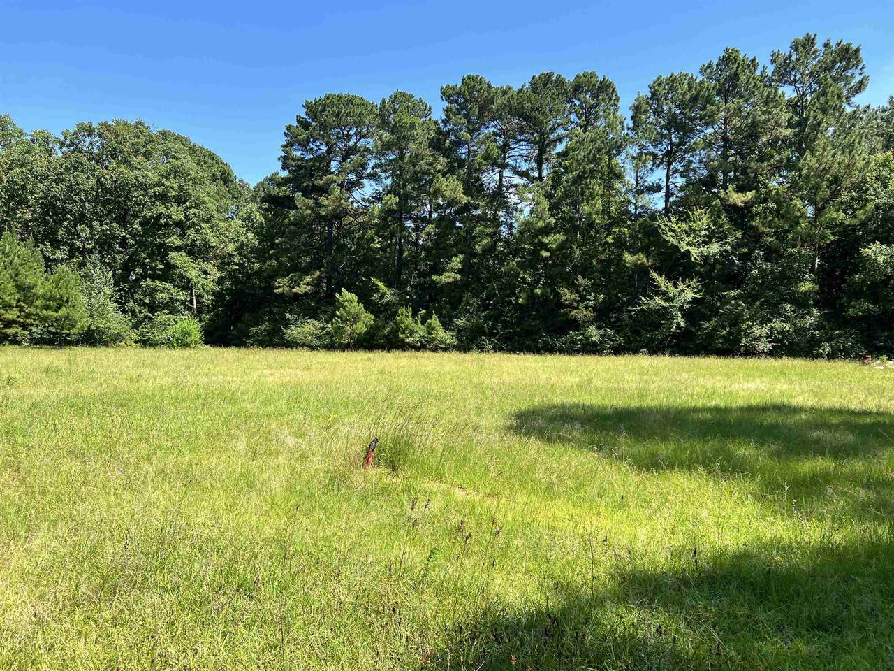 TBD River Bend - Photo 1