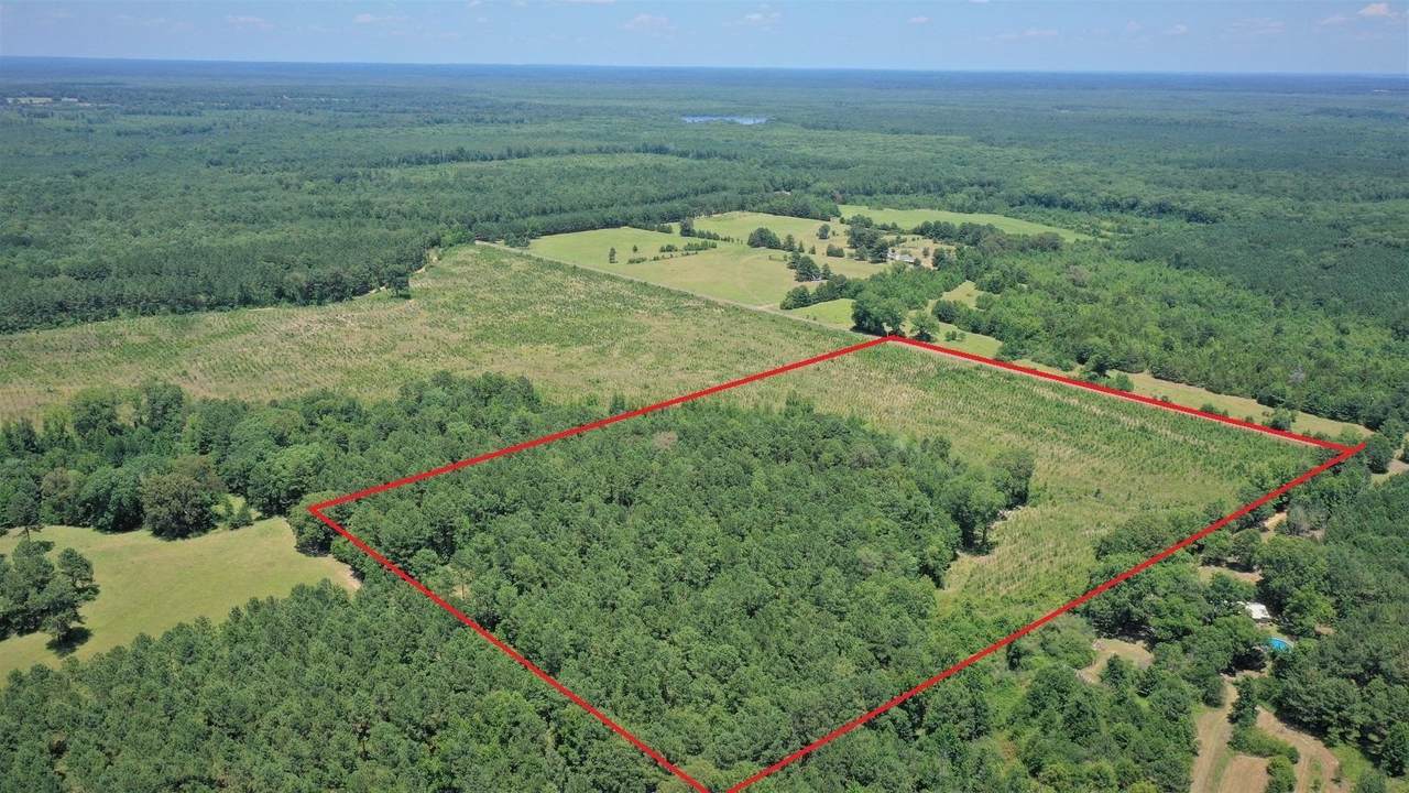 TBD Cr 36 South - Photo 1