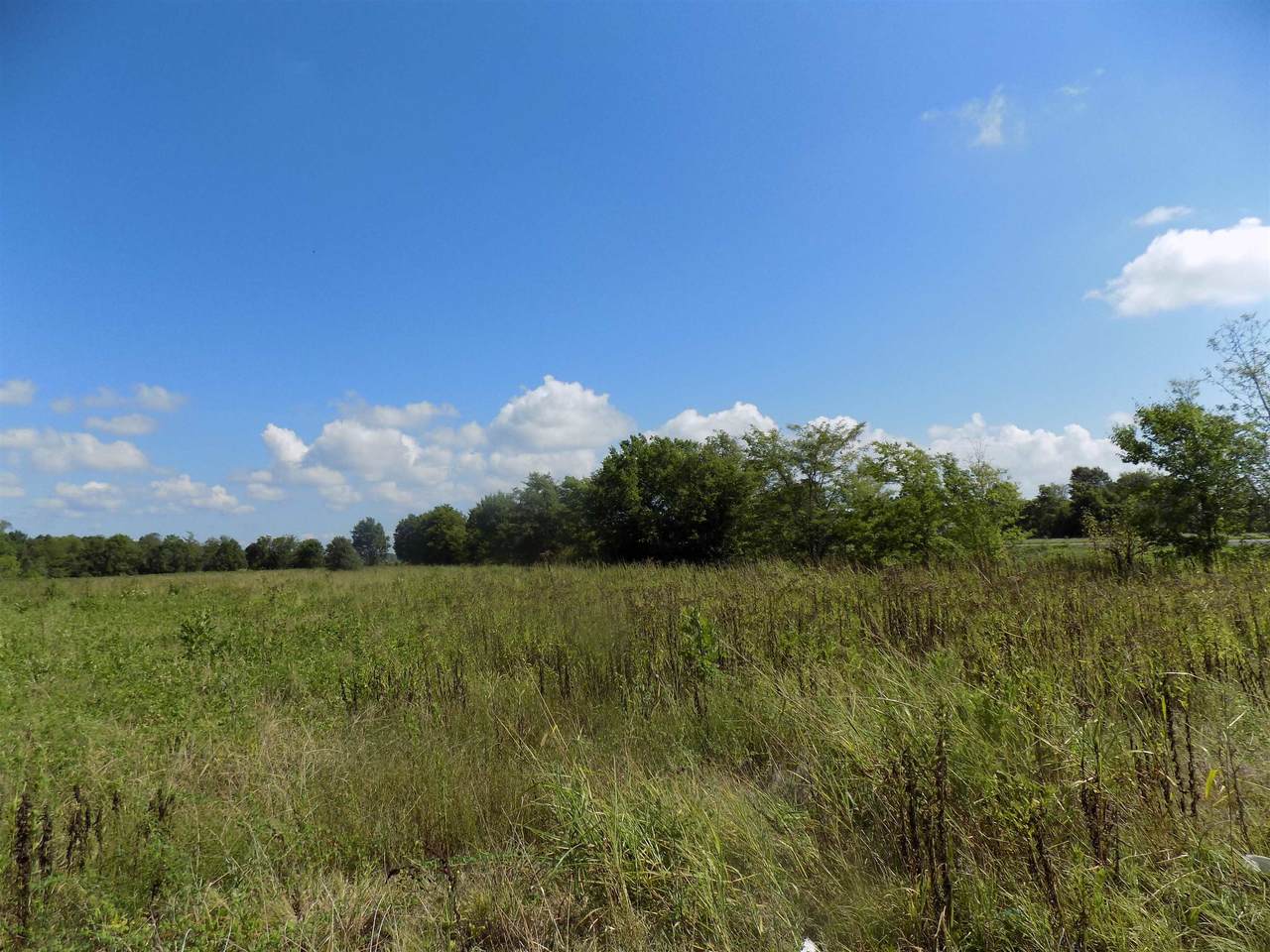 8401 Stateline - Photo 1