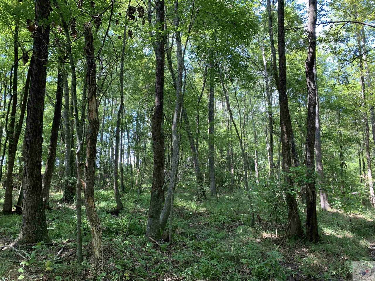 TBD Cr 3544 - Photo 1