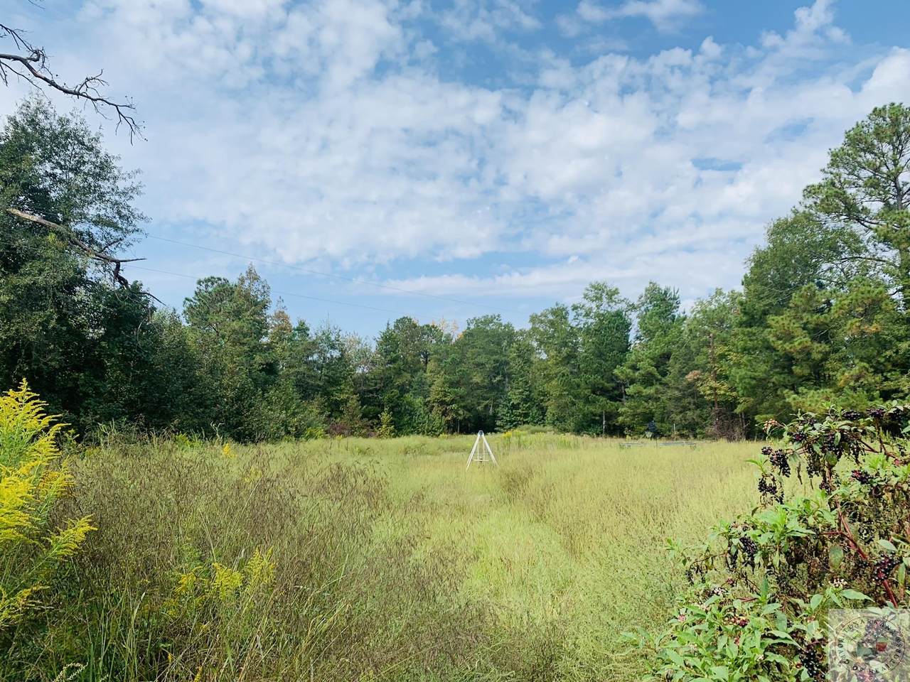 124 Cr 1466 - Photo 1