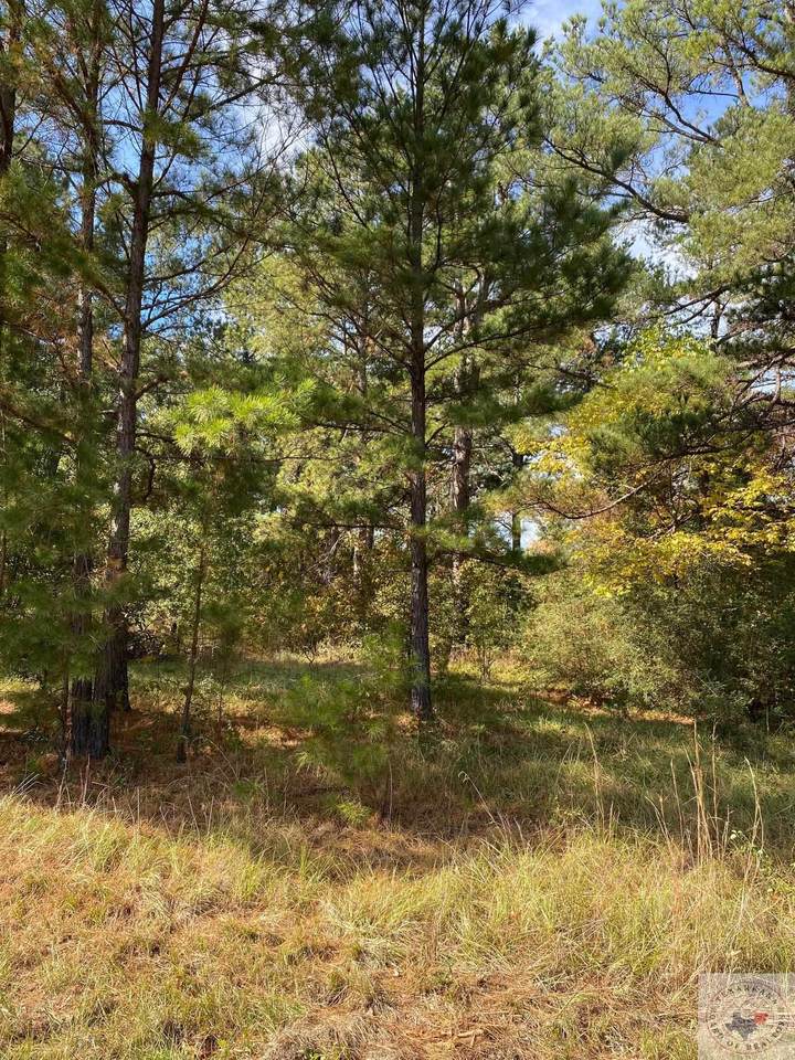 Lots 4 & 5 Bl 5 Lakeridge Dr - Photo 1
