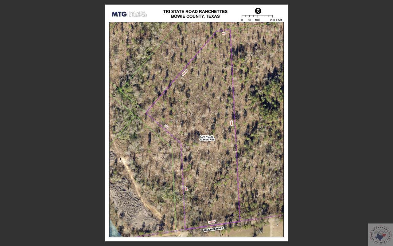 10.56 Acres Tri State Rd. - Photo 1