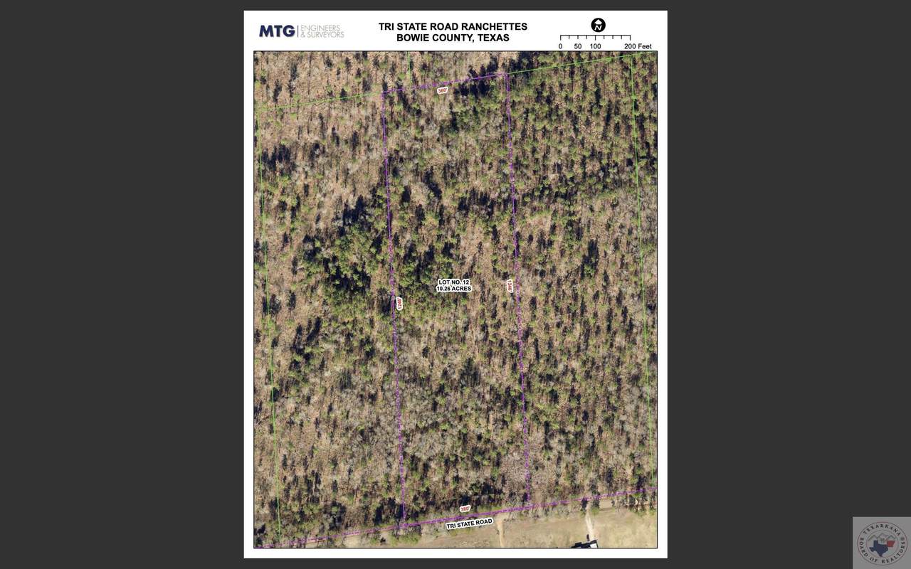 10.26 Acres Tri State Rd. - Photo 1