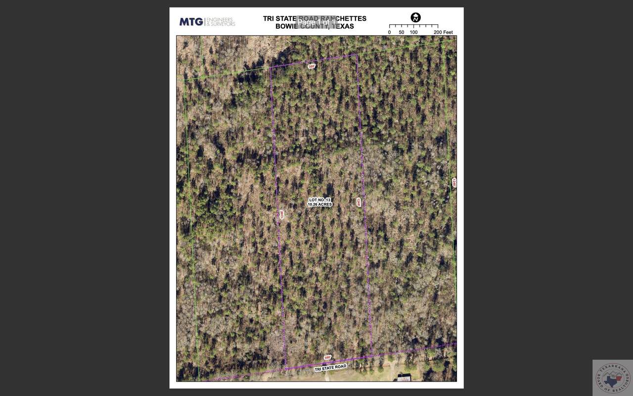 10.26 Acres Tri State Rd. - Photo 1