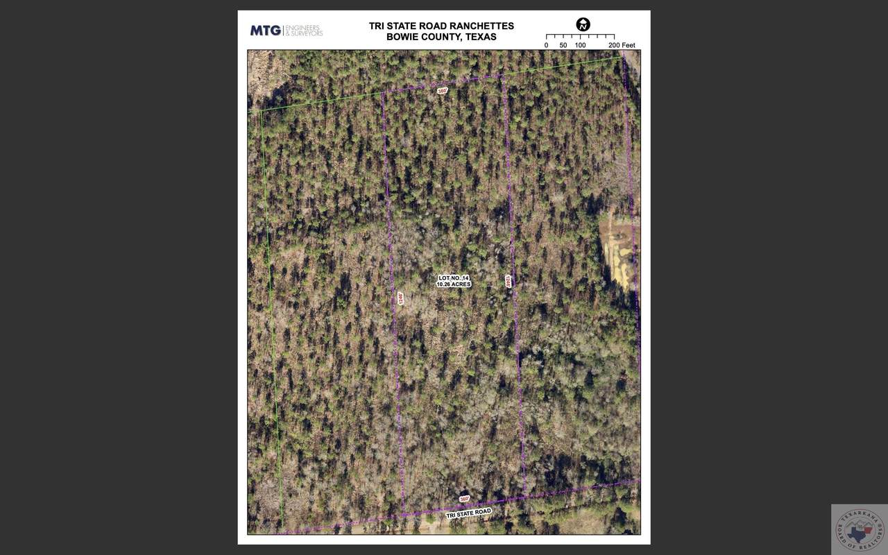 10.26 Acres Tri State Rd. - Photo 1