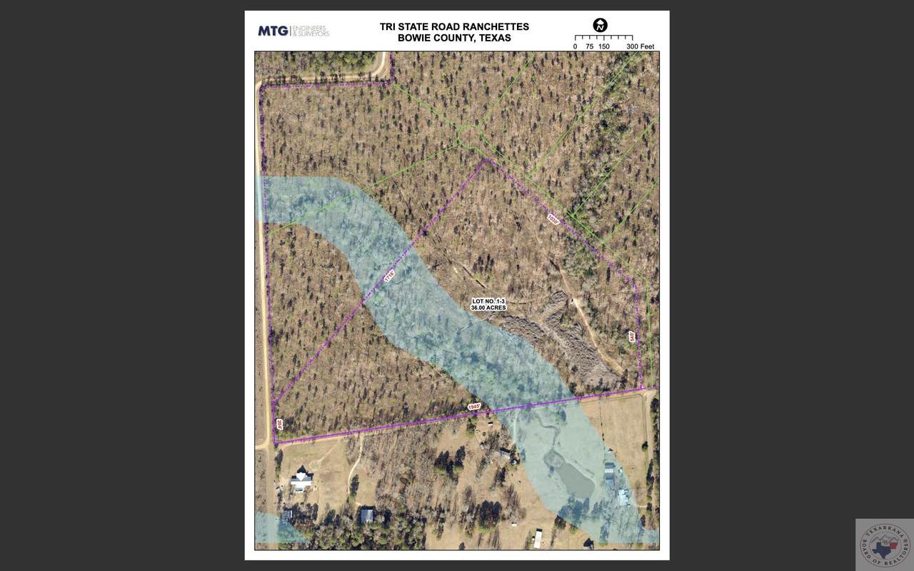 36 Acres Tri State Rd. - Photo 1