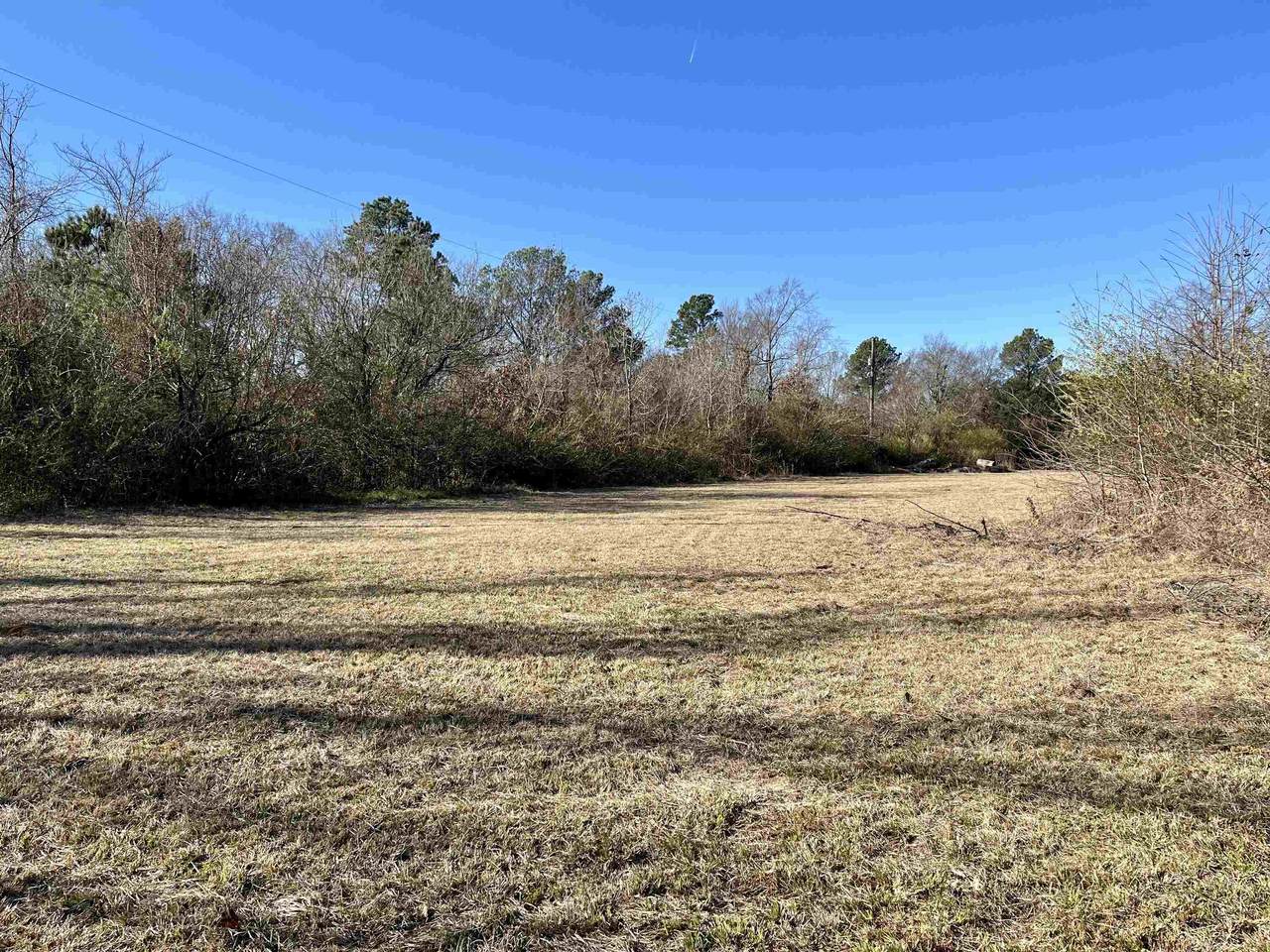6027 Mount Olive Dr - Photo 1