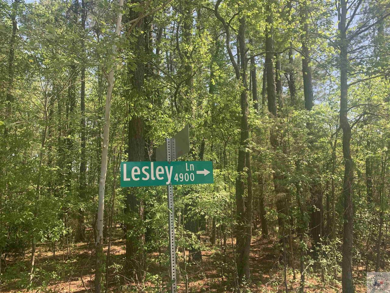 Leslie Ln - Photo 1