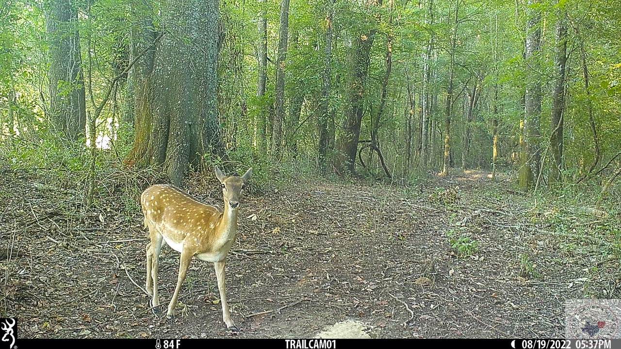 0 Fm 992 - Photo 1