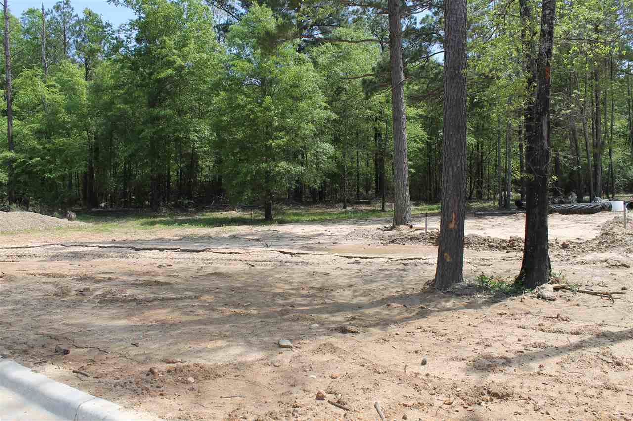 7002 Cameron Lane - Photo 1