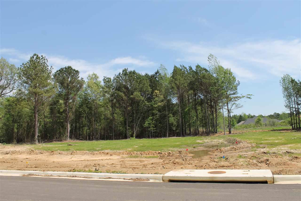 7004 Cameron Lane - Photo 1