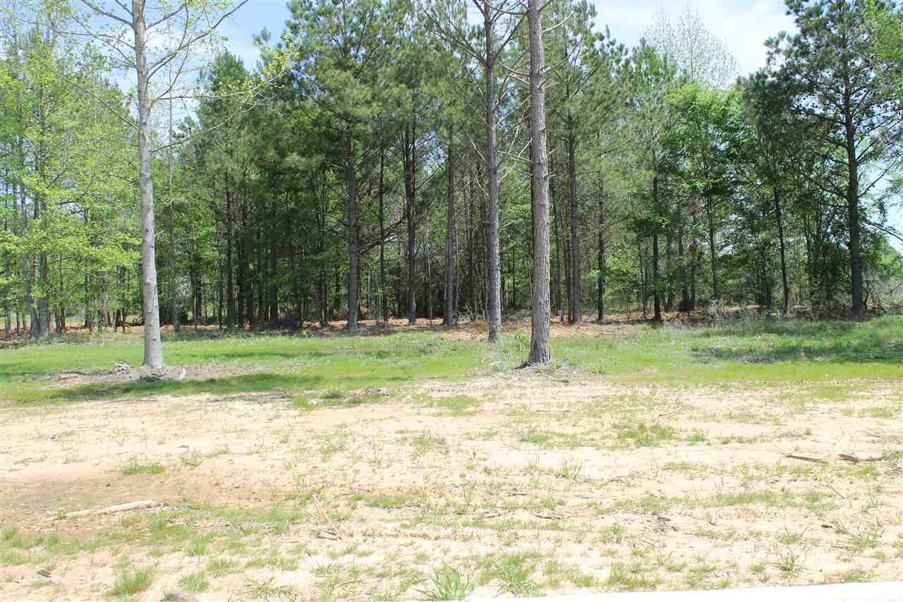 6906 Cameron Lane - Photo 1