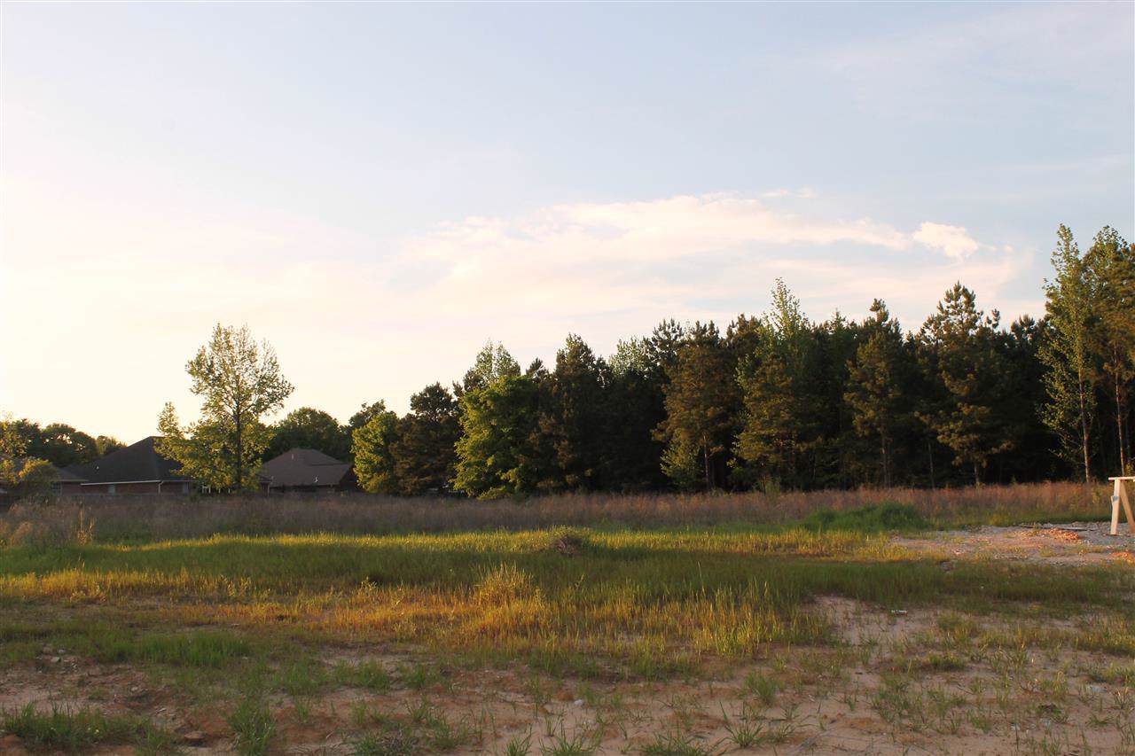 6705 Palisades Drive - Photo 1