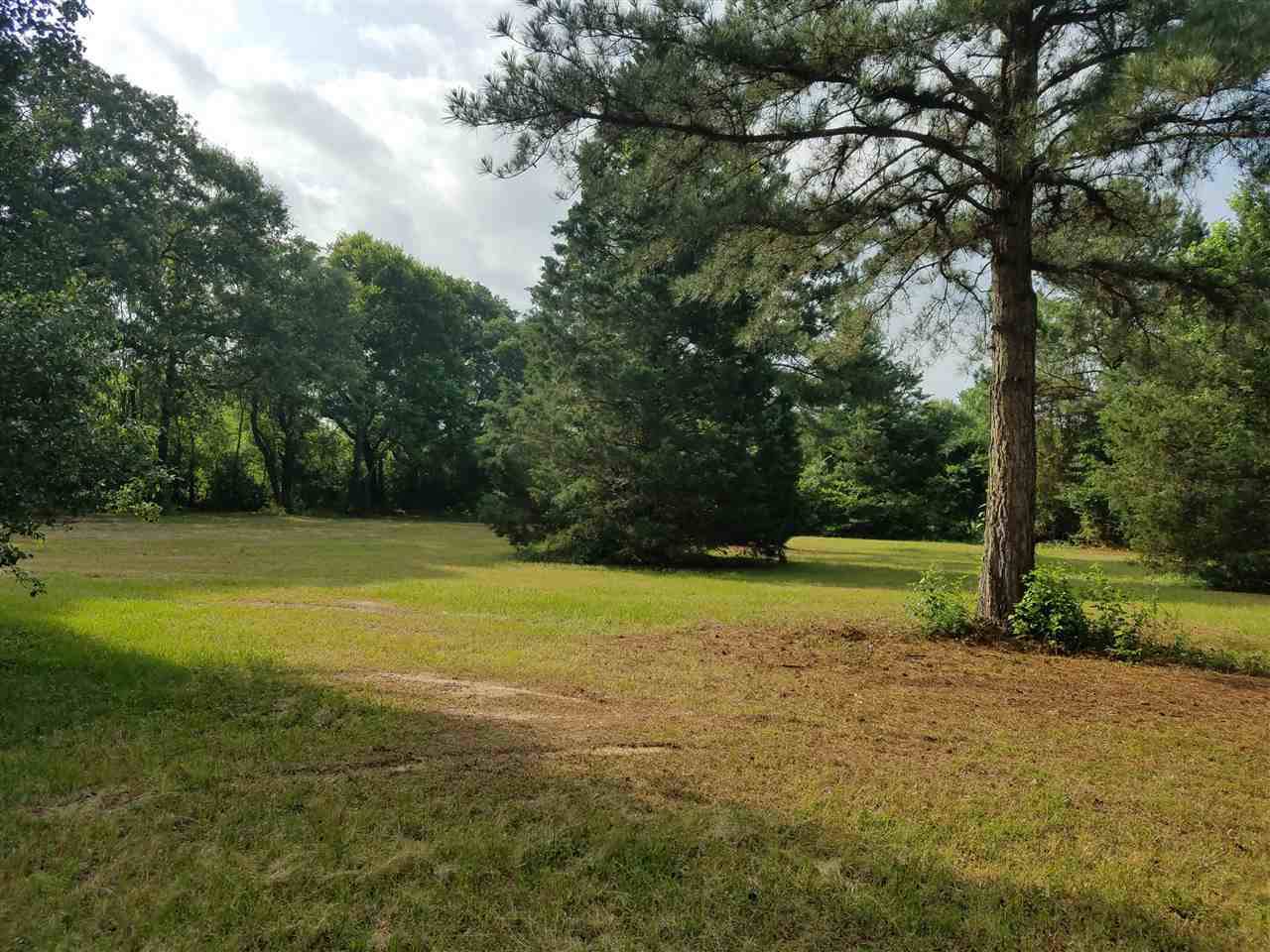 Lot 29 Quail Creek Drive - Photo 1