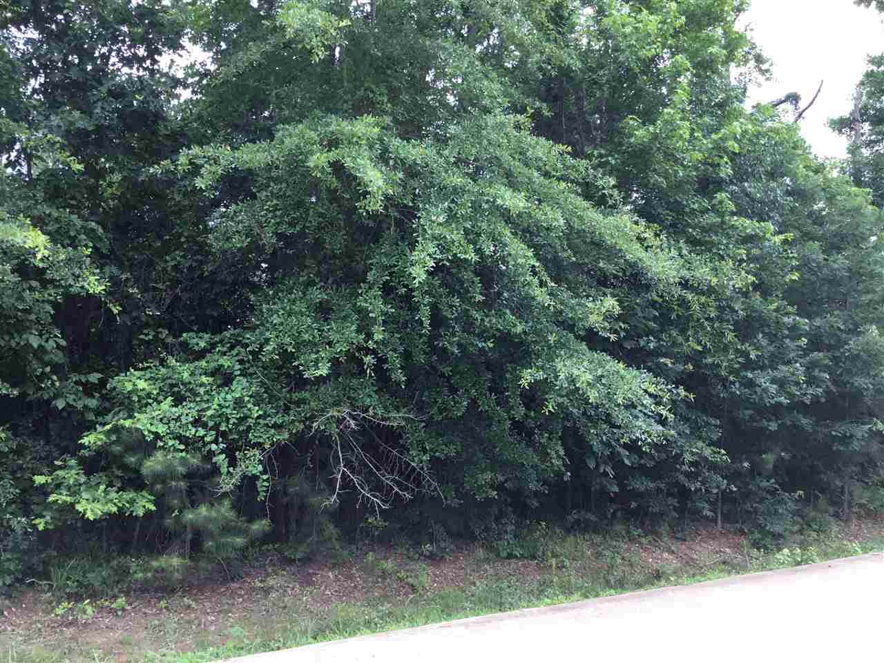 Lot 16 Cherokee Trail - Photo 1