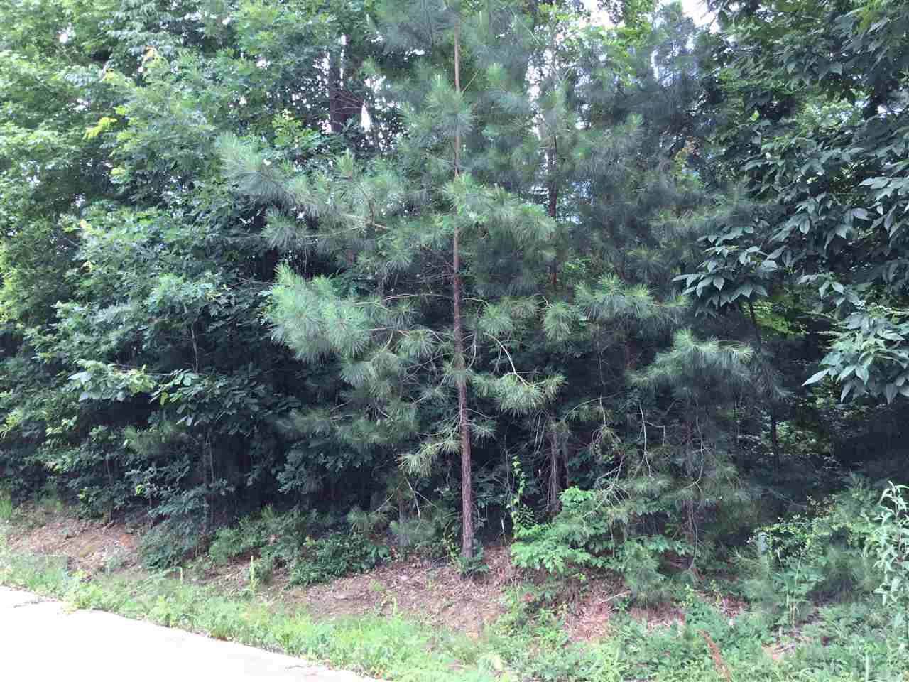 Lot 15 Cherokee Trail - Photo 1