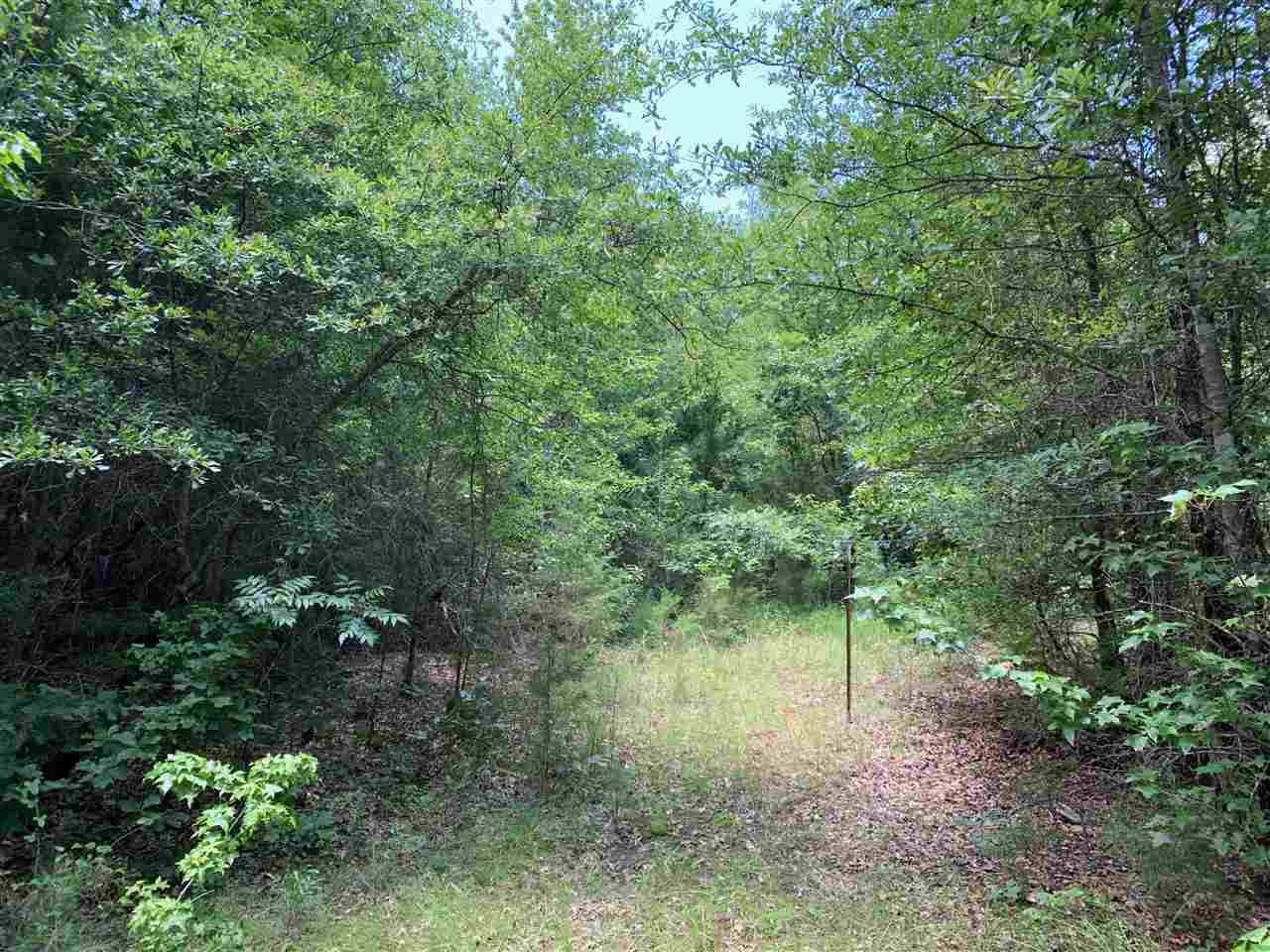 3075 County Road 4223 - Photo 1