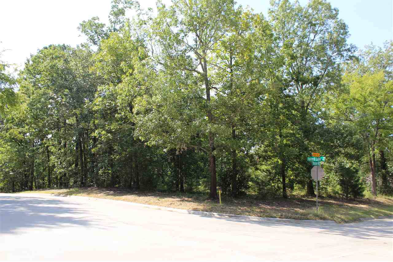 Forest Lake Dr - Photo 1