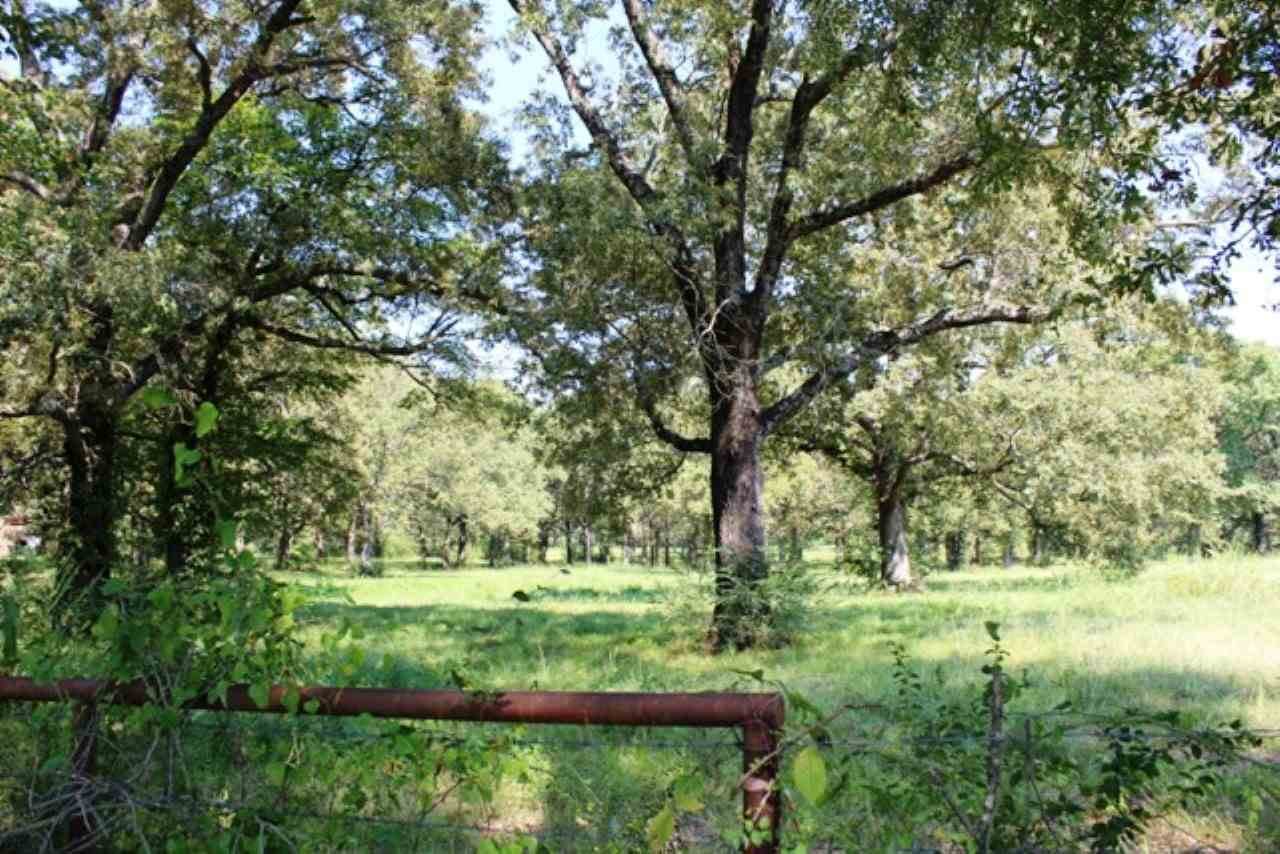 TBD Hwy 259 & Fisher Lane - Photo 1
