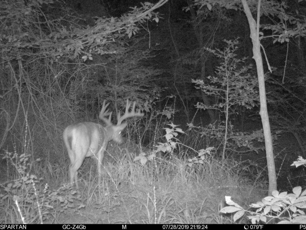 TBD Stateline - Photo 1