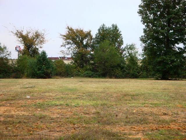 LOT 45 Hidden Acres - Photo 1