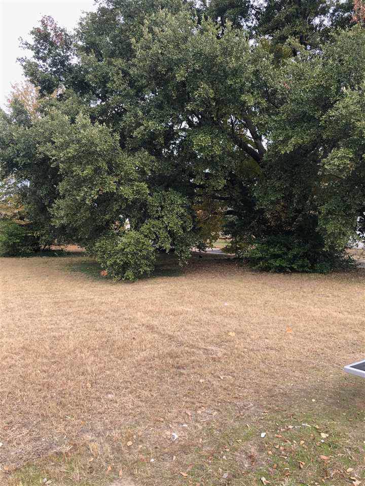 1905 Magnolia - Photo 1