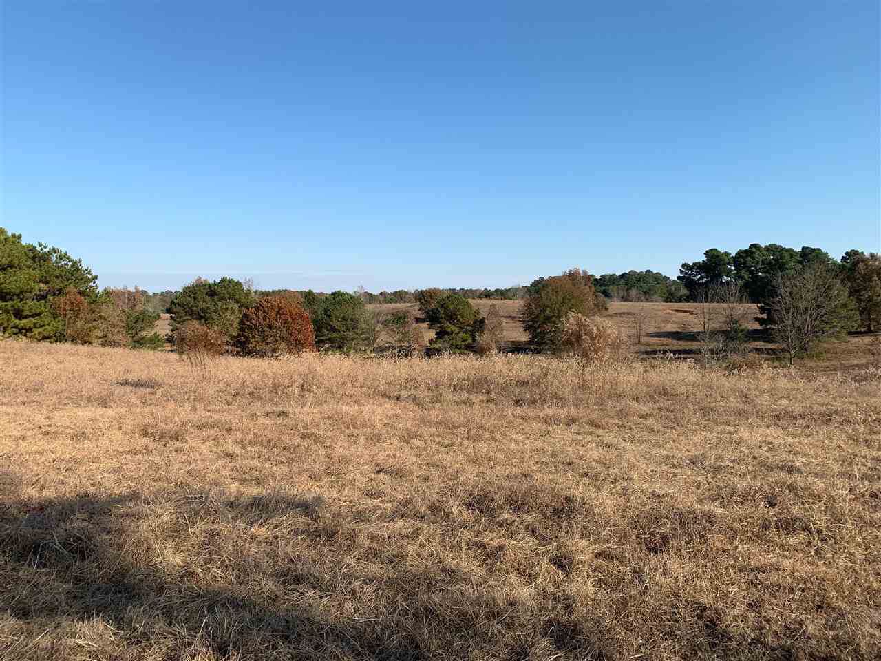 13489 Tx Hwy 8 - Photo 1
