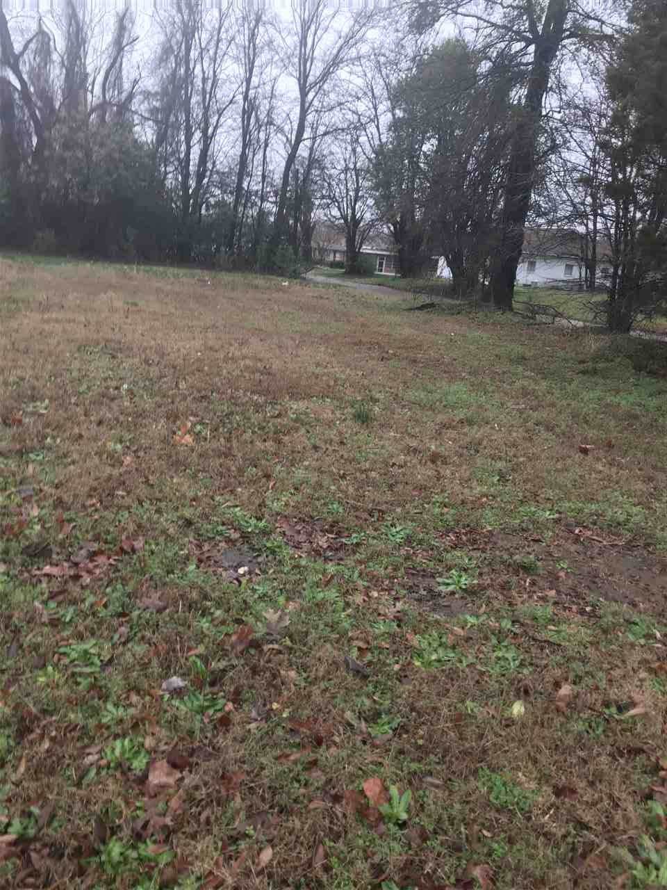 921 Beech - Photo 1