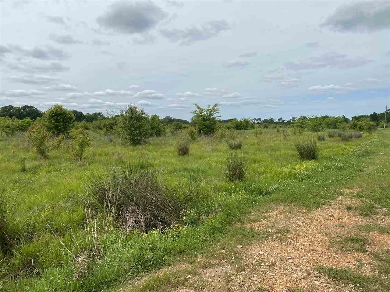 60 acres State Highway 296 - Photo 1
