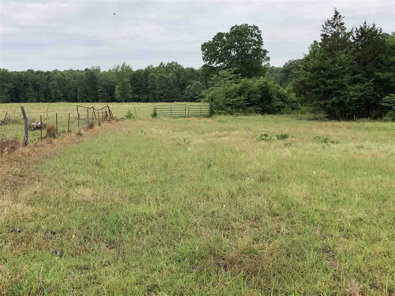 0 County Road 4235 - Photo 1