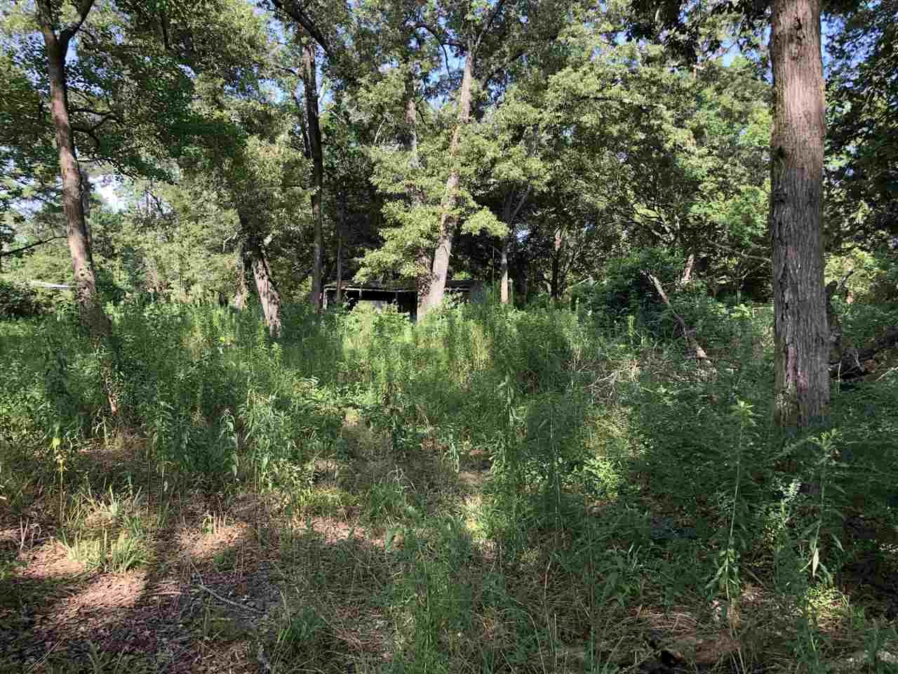 TBD Brower Lane - Photo 1