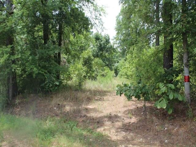 435 County Road 3213 - Photo 1